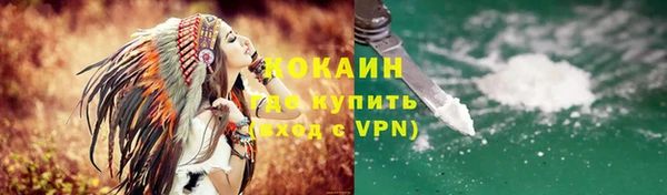 PSILOCYBIN Лиски