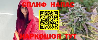 мяу мяу мука Донской