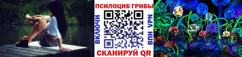 купить  сайты  мега ссылка  Галлюциногенные грибы MAGIC MUSHROOMS  Малгобек 