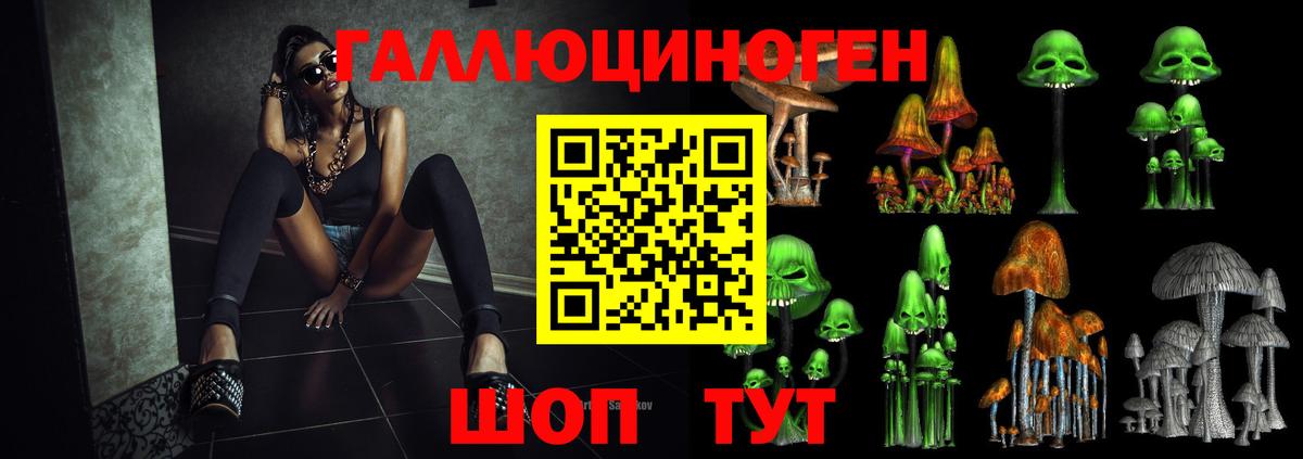 Псилоцибиновые грибы прущие грибы Малгобек
